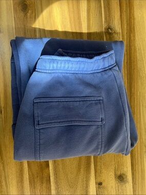 Aritzia Blue Purple Track Joggers